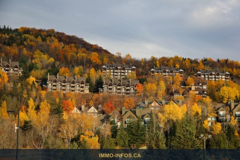 WOW Numérique 2026 : Centris.ca au sommet du secteur immobilier — Photo: Anushka Sharma