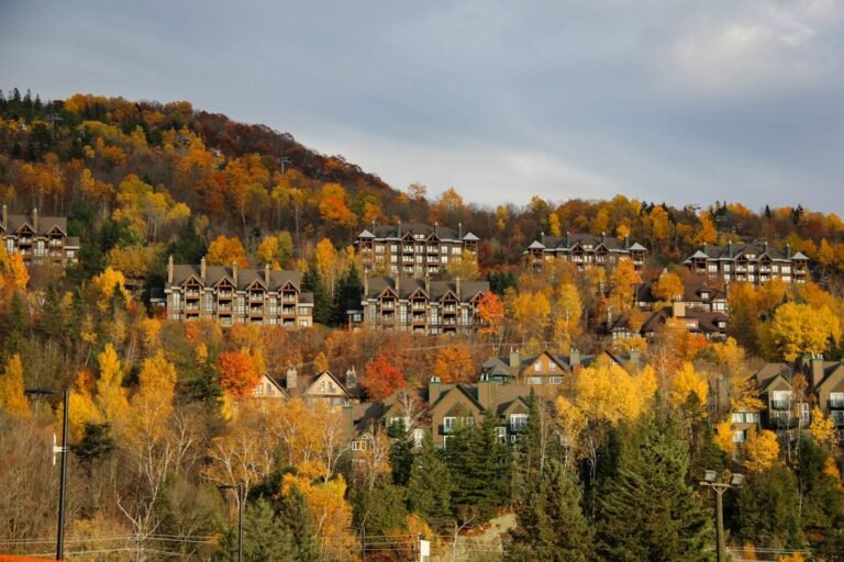 Déménager au Québec – Vos droits et protections — Photo: Anushka Sharma