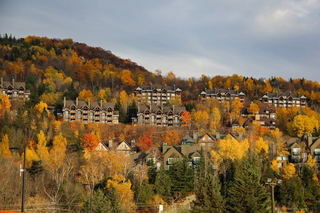Déménager au Québec – Vos droits et protections — Photo: Anushka Sharma