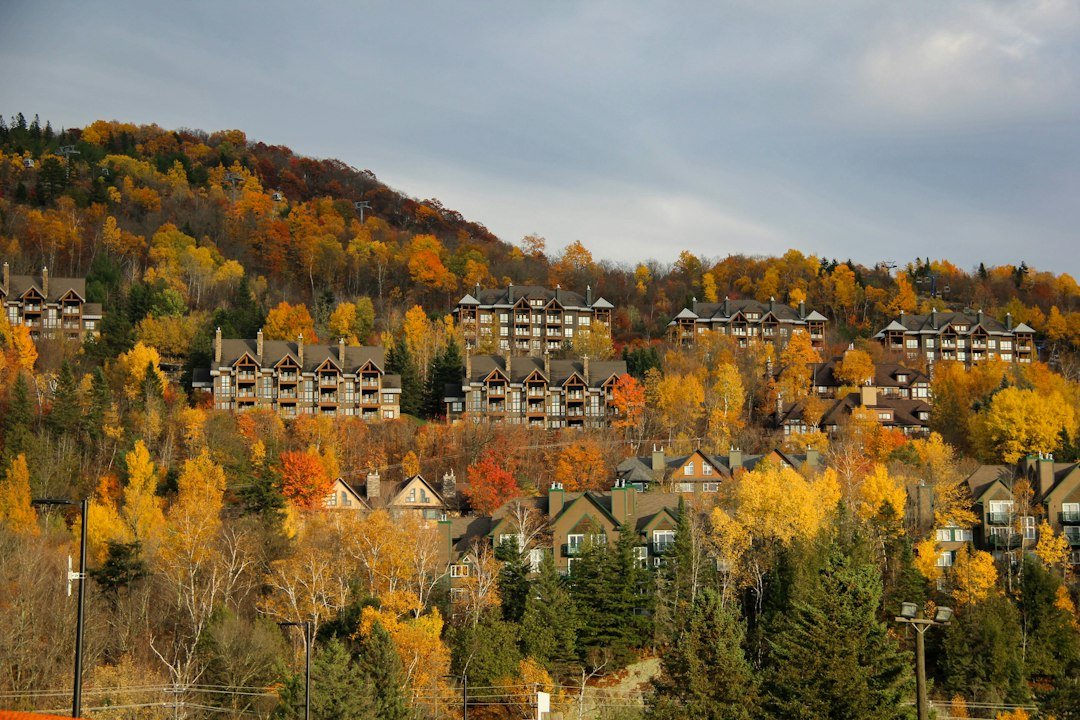 10 choses négatives que remarquent les visiteurs de votre propriété — Photo: Anushka Sharma