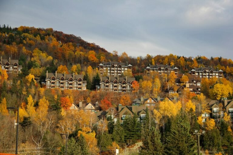 Quels sont les services offerts par les courtiers hypothécaires au Québec? — Photo: Anushka Sharma